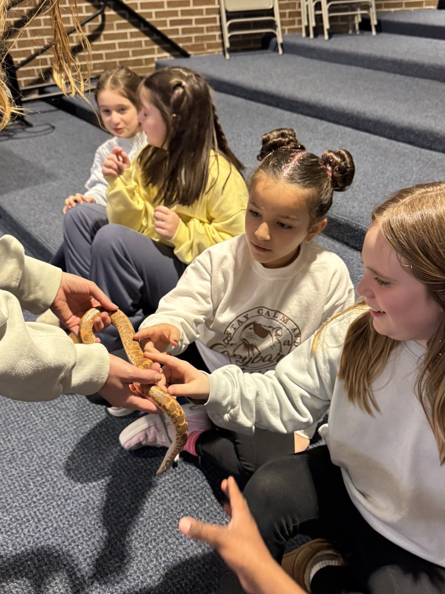 MissBickelman's tweet photo. Earth Spirit 🐍 https://t.co/lD5u3m2GCi