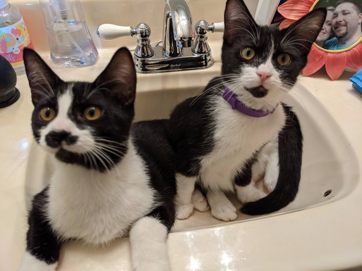 Jennifer L B H tweet media