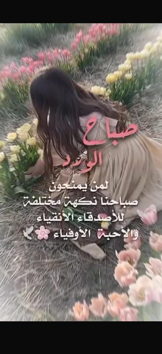 om hamad tweet media