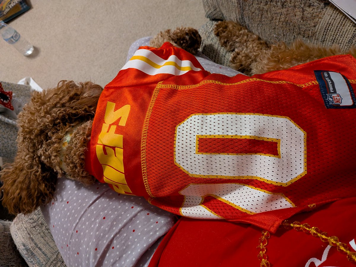 I've got my #PsychRewatch helper!! 🐾💚🍍