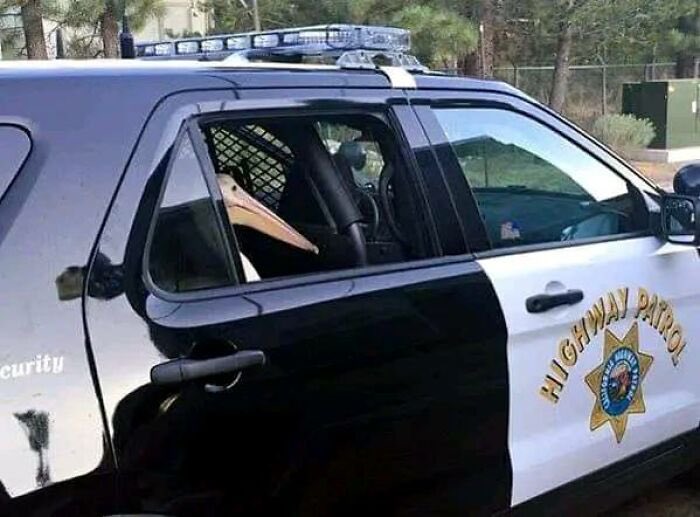 Agatha Chocolats tweet media