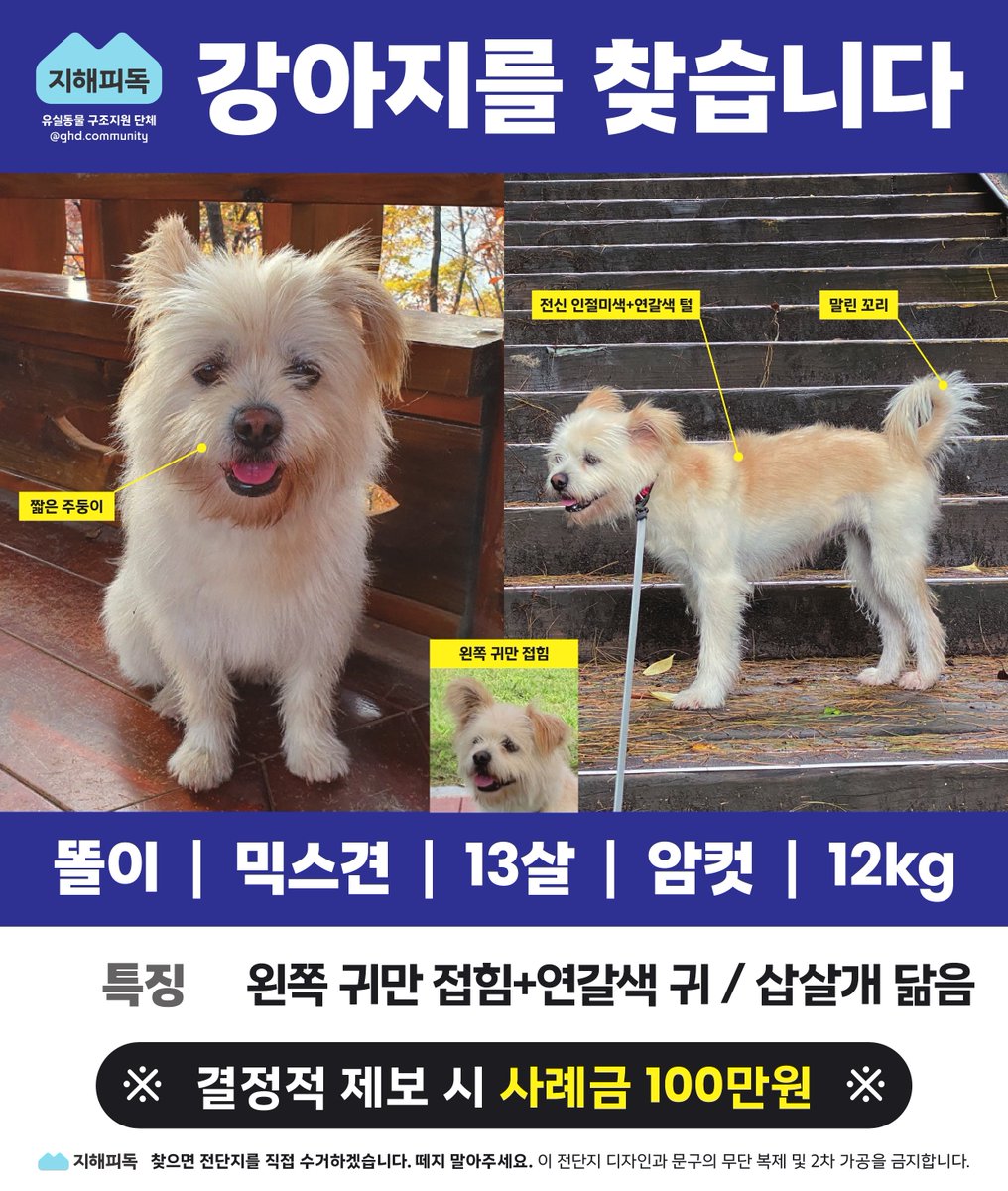 nomorelostpets tweet picture