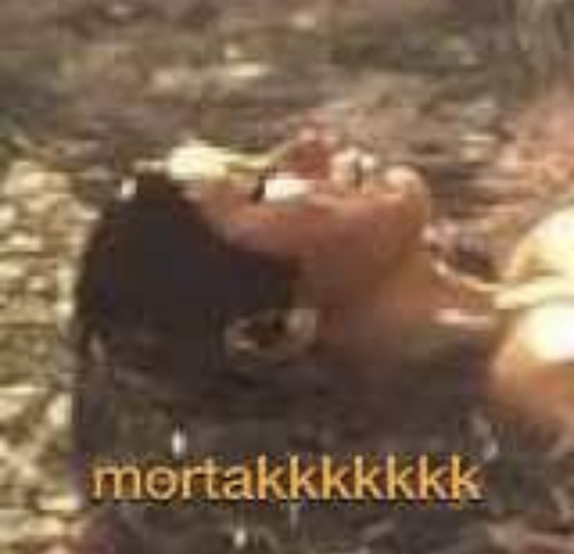 pedroca passou na federal,e cursa lic.em física. tweet media