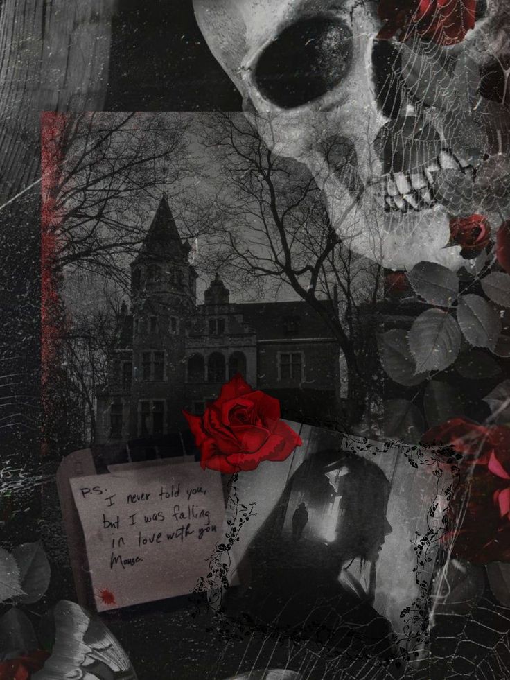 .✞.ℭ𝔢𝔠𝔦𝔩𝔩𝔦𝔬𝔫.✞. tweet media