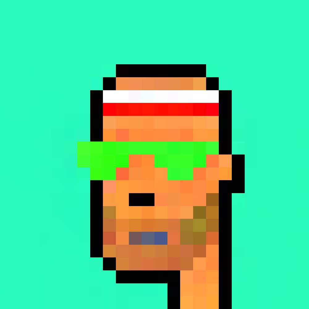 segwitnitwit ⛲️ tweet media