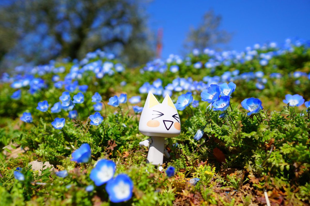 じゅんじゅん (@kagajun0321) / Posts / X