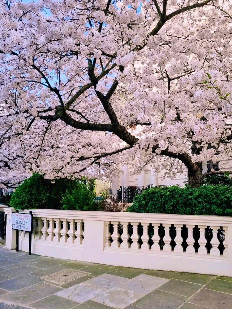 王丹(@wangdan1989) / Posts and Replies / X