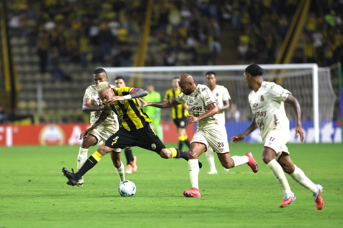 Emperador Fénix 🐦🔥👑 tweet media
