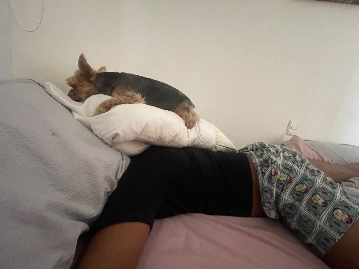 Gdegsus's tweet photo. Me despertaron de perrito😭 #fyp https://t.co/xaZViDTMEA