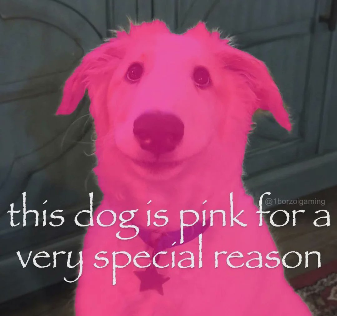 I think these are my favourite genre  of niche images