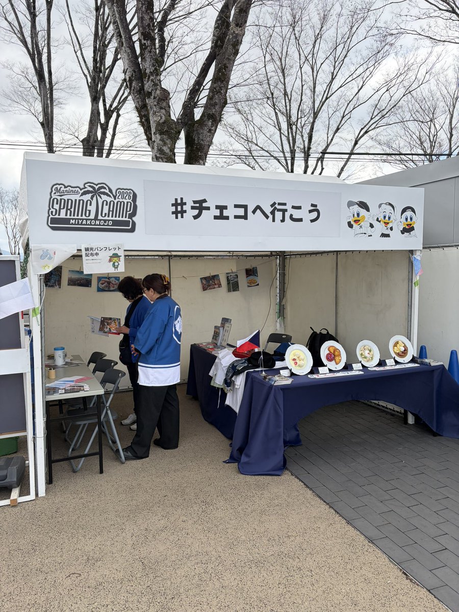 MiyakoSports's tweet photo. \千葉ロッテマリーンズ春季キャンプ/
2/26(木)、#三股町 と #チェコ がPRブースに出店しています!
※チェコ代表は三股町でキャンプ中!
12:30試合開始
#千葉ロッテマリーンズ
#chibalotte
#都城
#miyakonojo
#MarinesSpringCamp
#コアラのマーチスタジアム
#パイの実ドーム
#クーリッシュブルペン https://t.co/4sSmVxQRUE