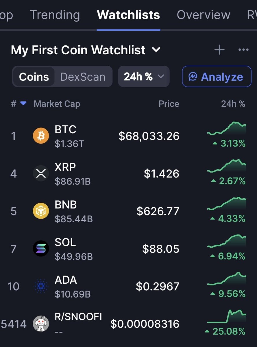 This time for sure. $btc $xrp $Ada $bnb $sol $snoofi bull run