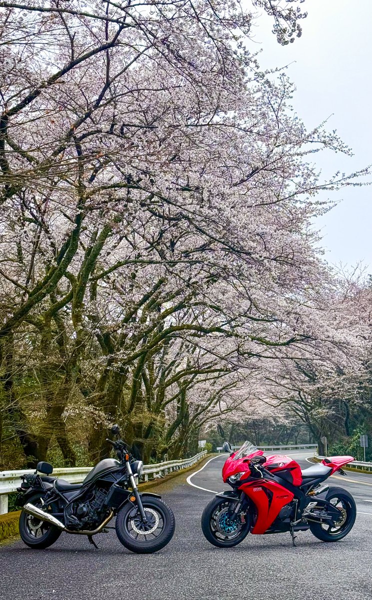 Rちゃん🪽CBR 600RR (@R_CHAN_25) / Posts / X