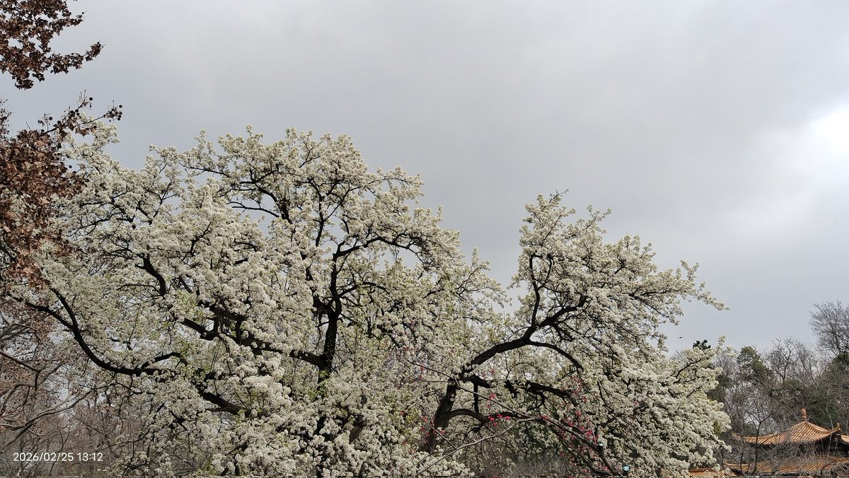 葡萄园的（吃）瓜🍉猫 tweet media