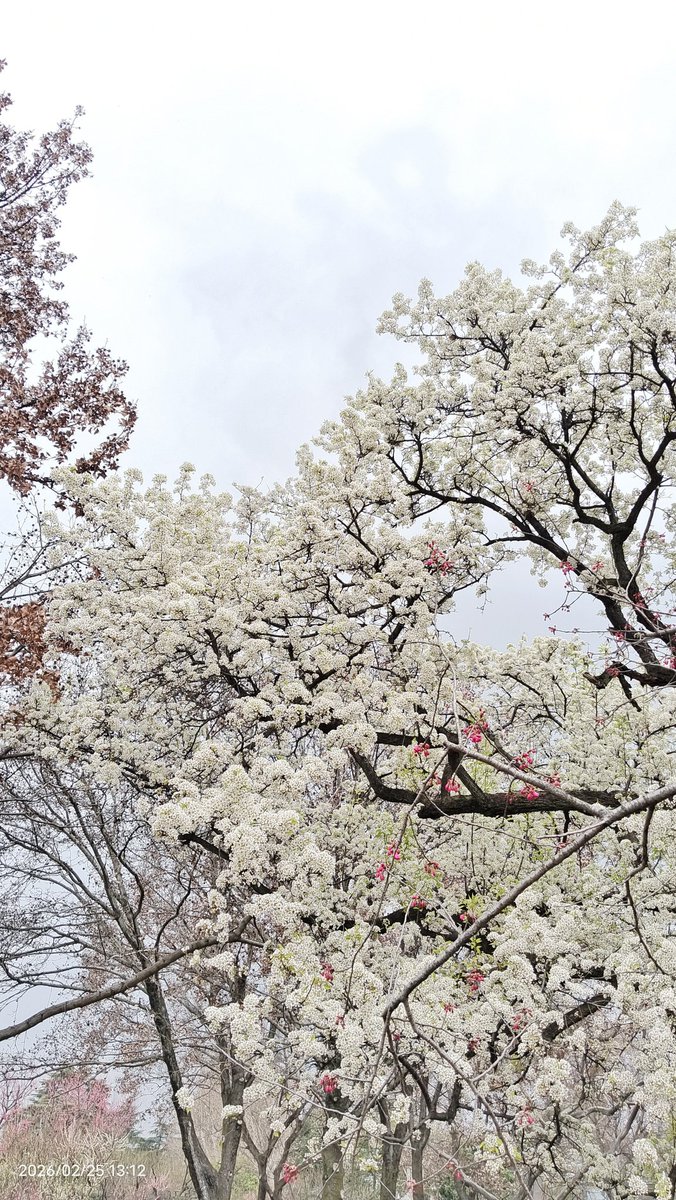 葡萄园的（吃）瓜🍉猫 tweet media