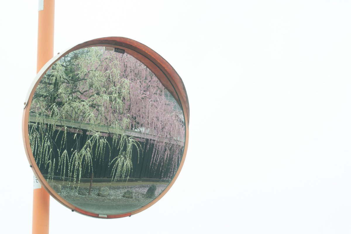 Kouji Tomihisa tweet media