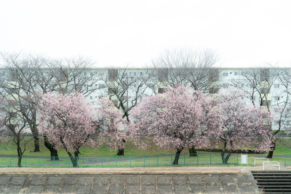 Kouji Tomihisa tweet media