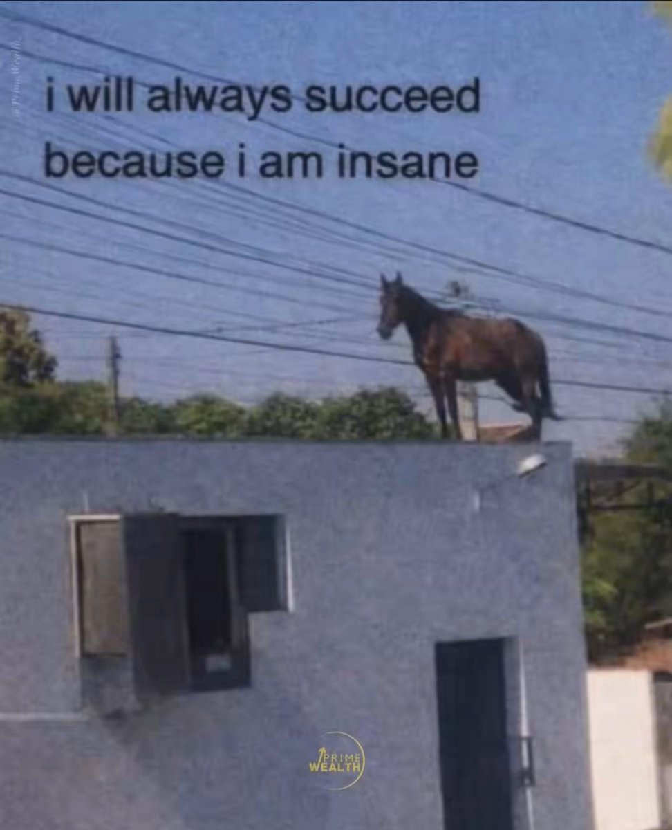 Apackawolves tweet media