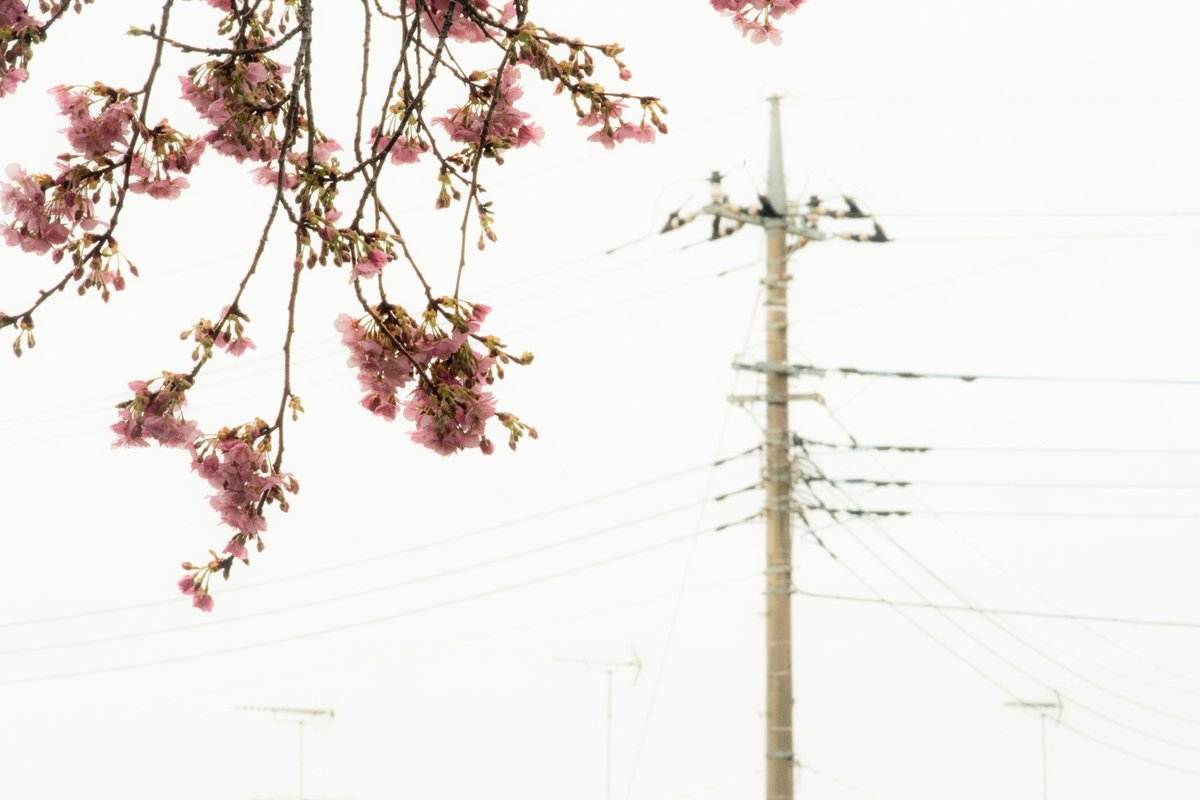 Kouji Tomihisa tweet media