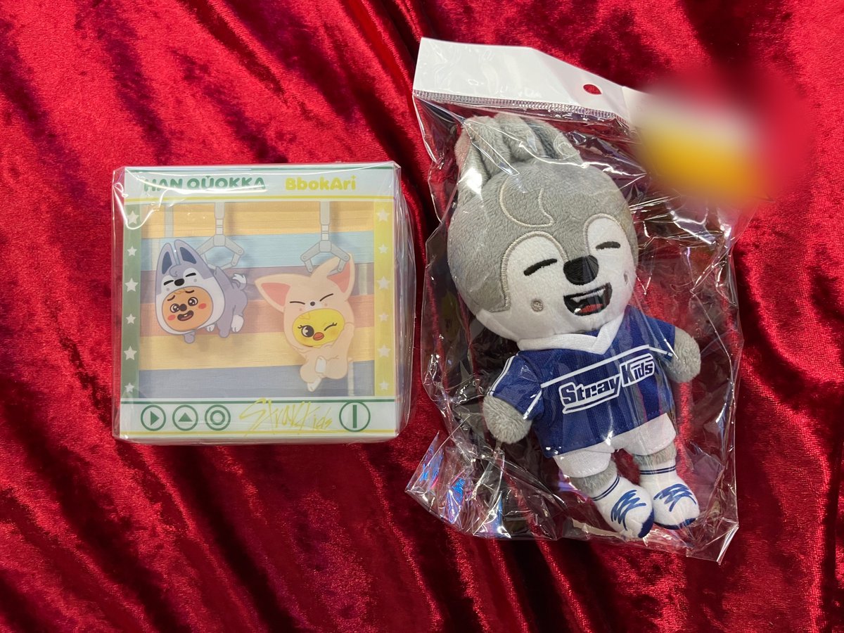 おはようございます🐣 本日は11時からオープンです❣ #StrayKids