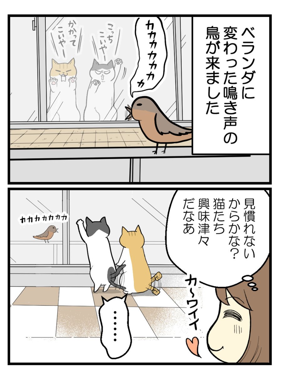(1/1) 