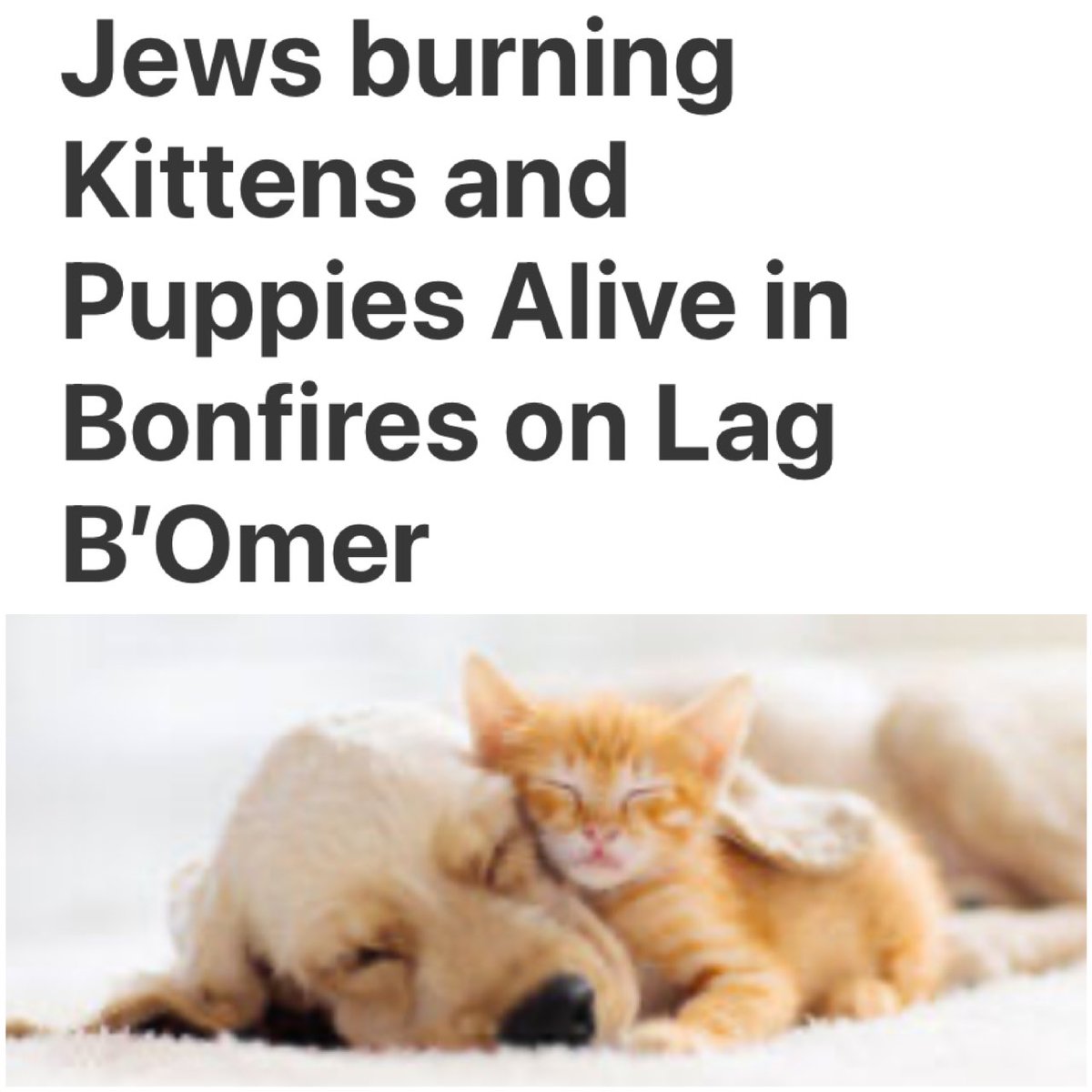 For the sixth year in a row, volunteers around Israel were leading patrols to “stop the horrific traditional phenomenon of burning animals on Lag Ba’omer which is a a Jewish religious holiday.

“I researched and clarified this, and I understood that this is a widespread