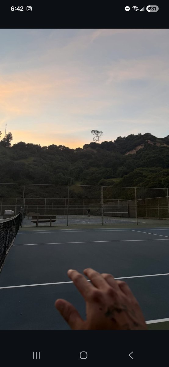 Wallows Updates tweet media