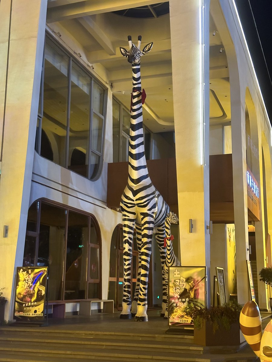 妙妙乐 tweet media