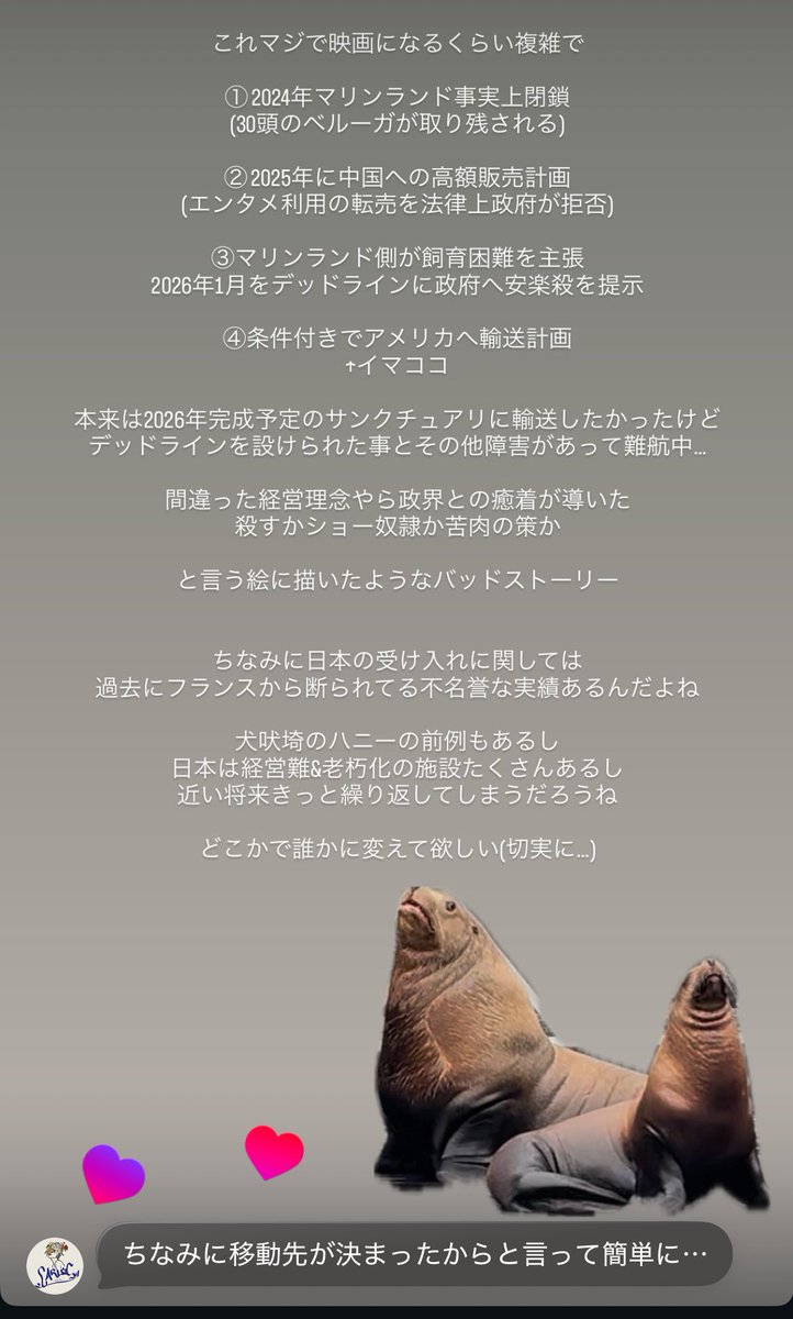 CARLOR_'s tweet photo. カナダの法律を書き換えるほどに
国内外にインパクトを与えたキスカ

君がなき後も変わる事なく
仲間たちは危険に晒されている

動物のかわいさにスポットライトが当たる映画じゃダメだよ

飼育史上最悪なエピソードとして啓蒙活動の最たる形として映画にして欲しい https://t.co/2dwIUrHjlr