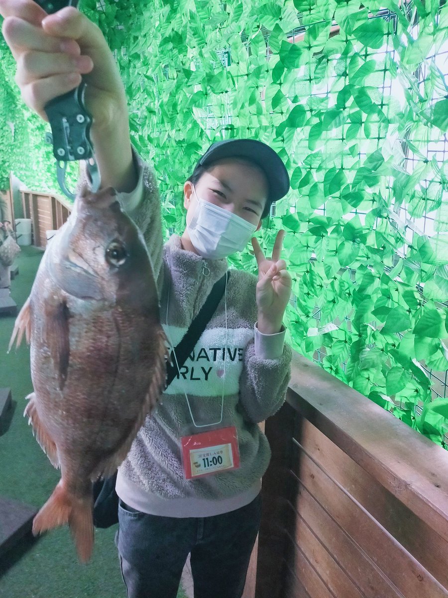 横浜釣堀王国で釣った真鯛🐟️少し寝かせてから「カルパッチョ」と「春菊と和えたやつ(甘辛味)」で食べて、美味しかったからポストしようー✨…って嘘やん💦写真がない😢うわぁ〜😭撮り忘れた〜😭😭😭ﾁｯｸｼｮｰ