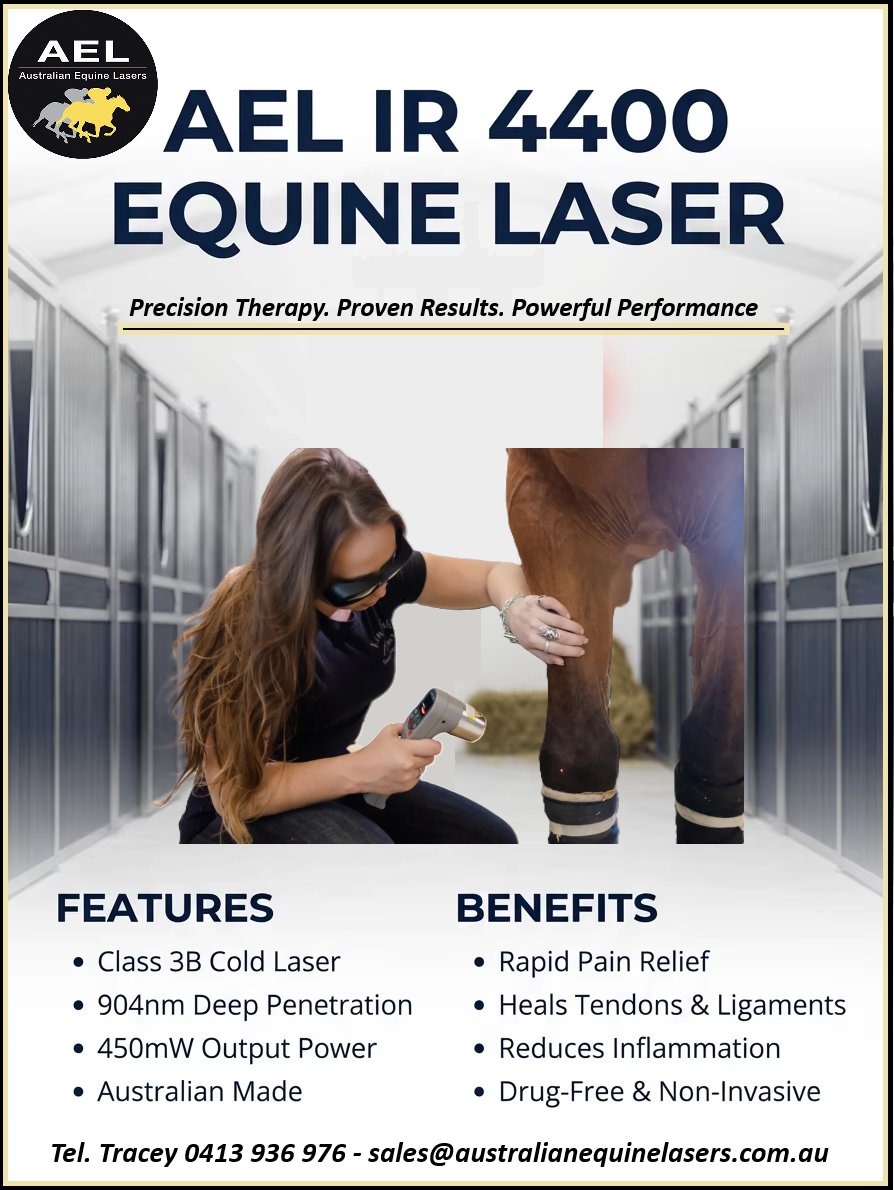 Equinelaser3000's tweet photo. 🏇 Meet the AEL IR 4400 – the class 3B 904nm equine laser designed for faster recovery, reduced inflammation, and peak performance. Perfect for trainers, owners &amp; vets aiming for elite results. ✨ #EquineLaser #HorseCare #PerformanceHorses https://t.co/08OAGAhUdK