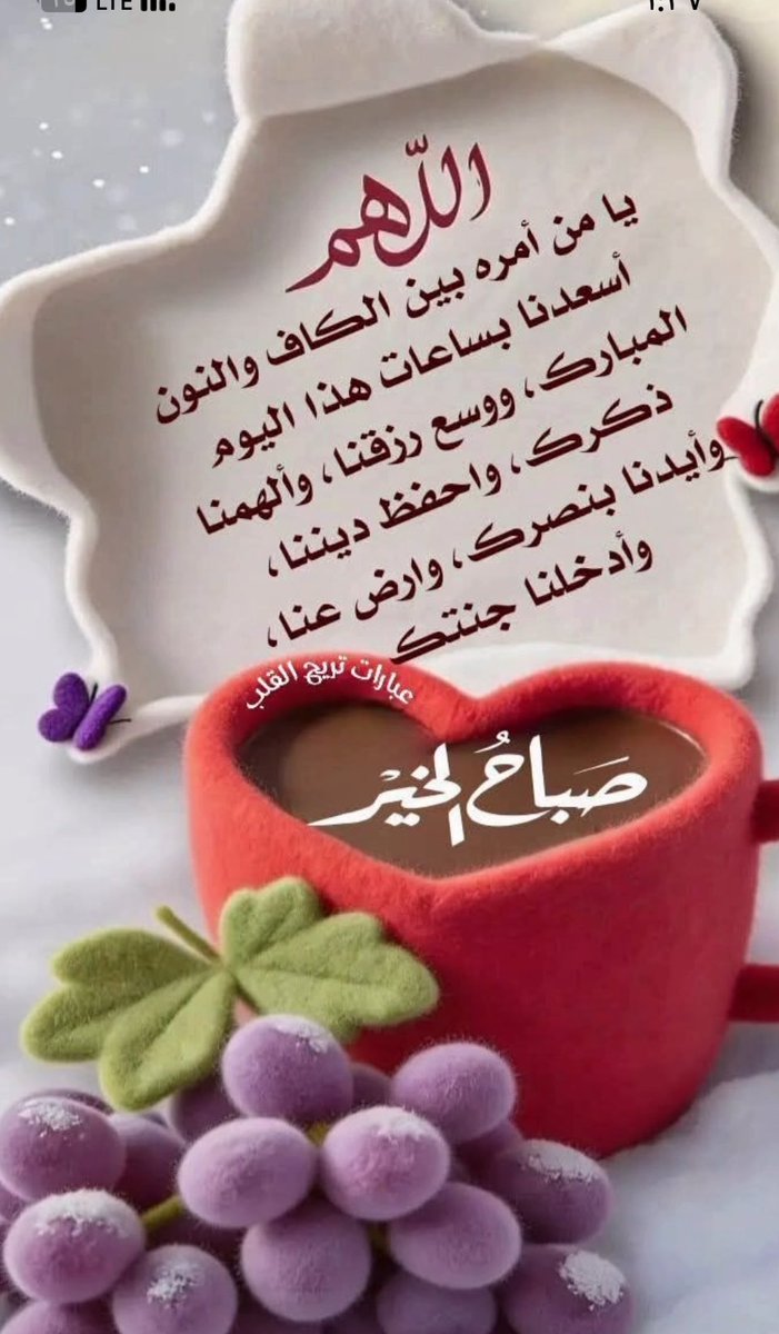 دانة العبدلي🇰🇼 tweet media