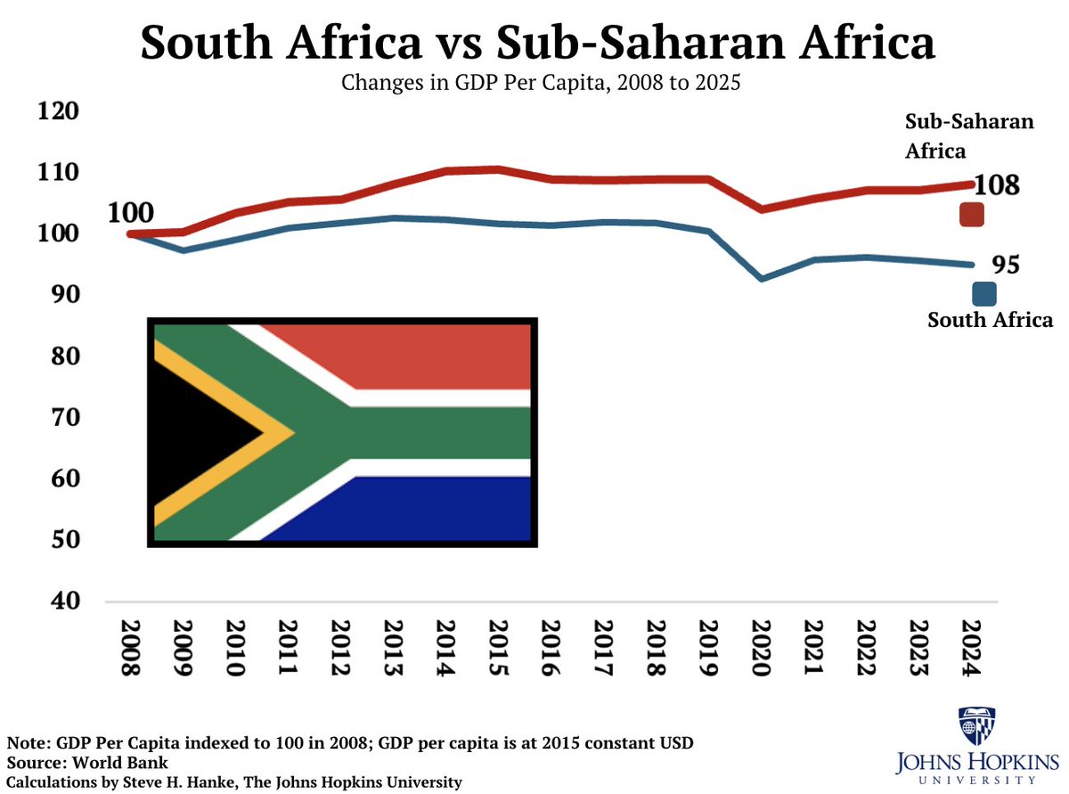 The more racially discriminatory laws the South African government