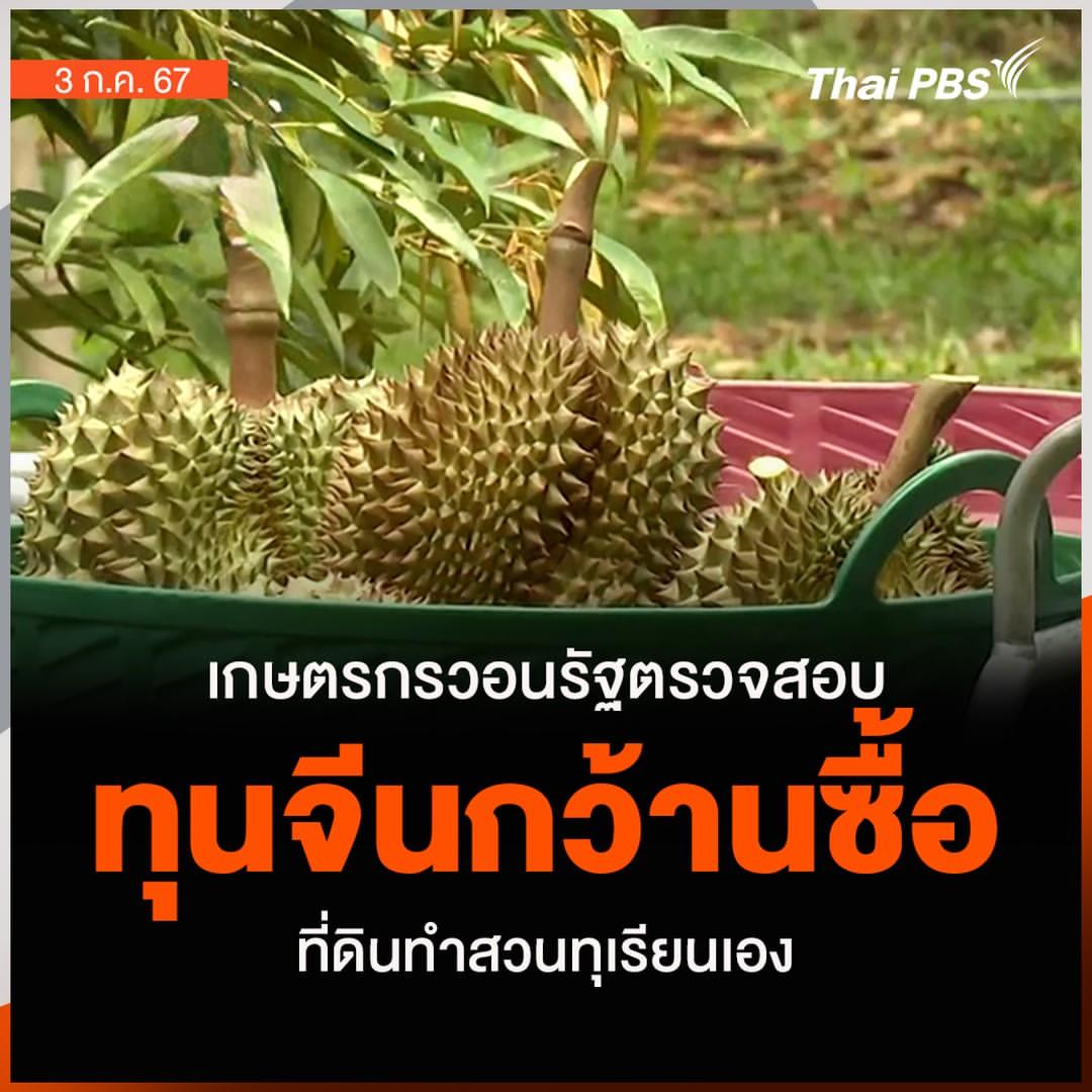 เดี๋ยวมึงรอทุเรียนจีนโตก่อนนะ มีเรื่องให้ชิบหายอีกเยอะ จีนมหามิตรของสลิ่มเป็นไงละ รัฐบาลที่มึงเลือกมาก็รักจีนเหลือเกิน ชิบหายยาวๆอะกูบอกเลย นี่แค่ภาคเกษตรนะ