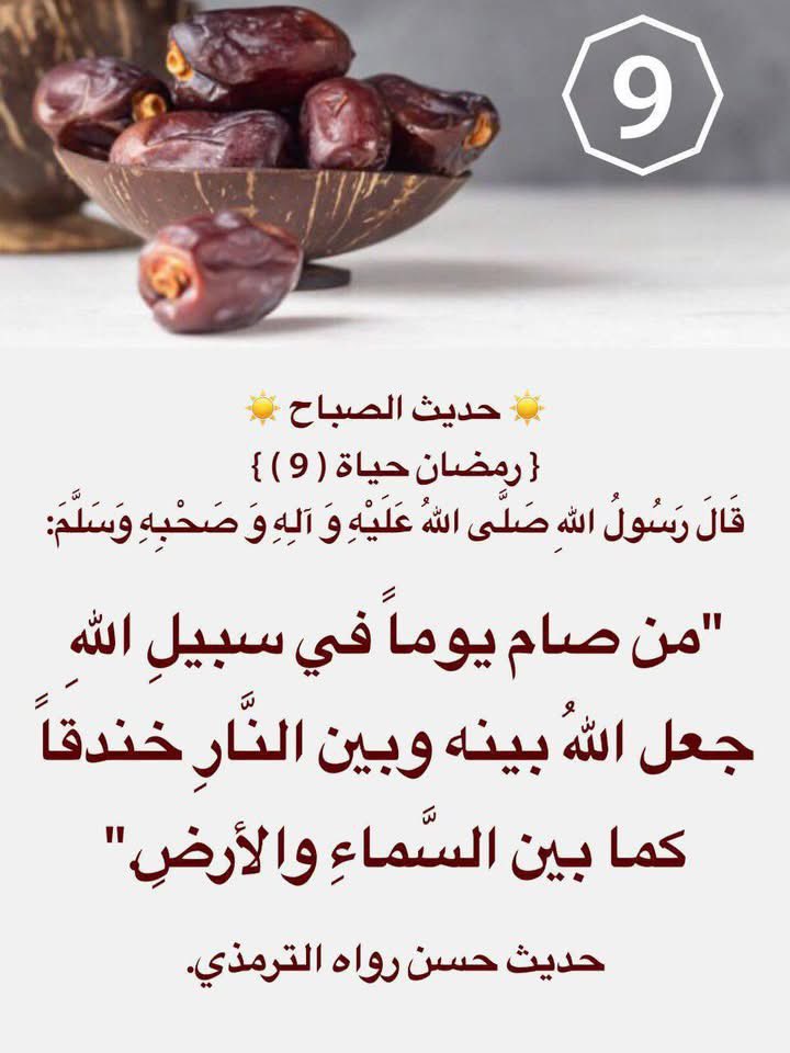BaselAlasmi2's tweet photo. https://t.co/6iQ3DiqaMn