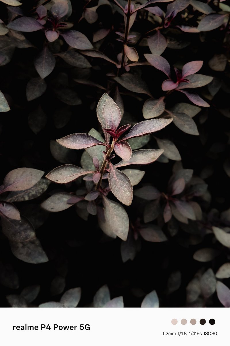 bhoyarg203's tweet photo. Shot on 50MP Sony OIS camera 📸 #realmeP4Power5G  #10001mAhBatteryPhone 
#realmeCommunityIndia https://t.co/WLAQ0jxjMO
