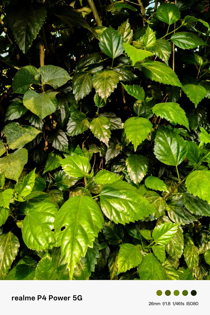 bhoyarg203's tweet photo. Shot on 50MP Sony OIS camera 📸 #realmeP4Power5G  #10001mAhBatteryPhone 
#realmeCommunityIndia https://t.co/WLAQ0jxjMO