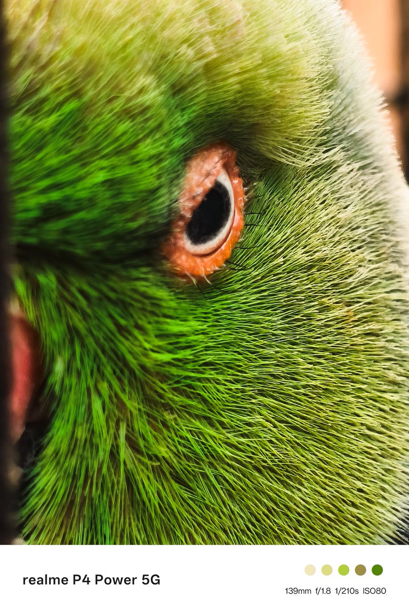bhoyarg203's tweet photo. Shot on 50MP Sony OIS camera 📸 #realmeP4Power5G  #10001mAhBatteryPhone 
#realmeCommunityIndia https://t.co/WLAQ0jxjMO