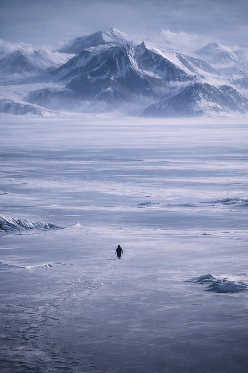 Crazy af it's already been 6 months since this happened

$Penguin #memecoin