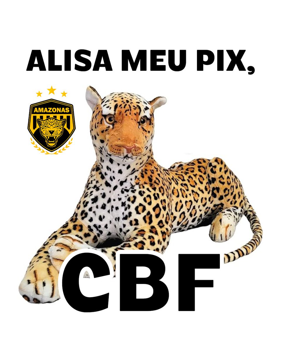 Amazonas FC tweet media