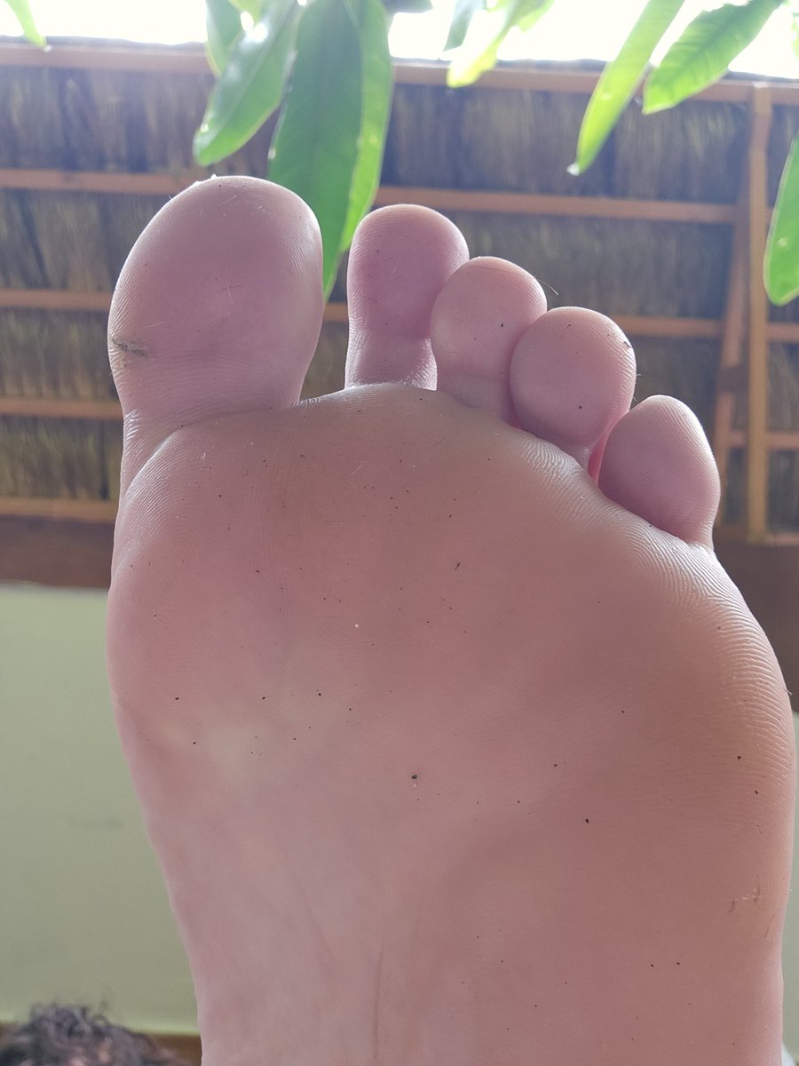 Big Foot Jake tweet media