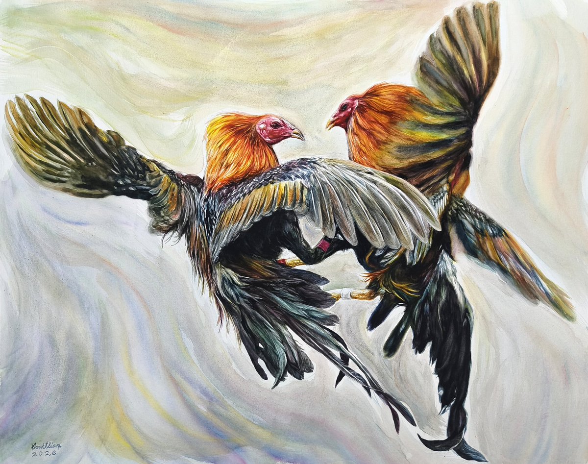 " Warriors of the Pit " 
24 x 18.5 Inches
Freehand Watercolor Painting 2026
#sabong #cockderby
#derby #cochfighting #sabongero #gamefowl #phsabong #art #watercolorpainting #watercolor #drawing #sketching