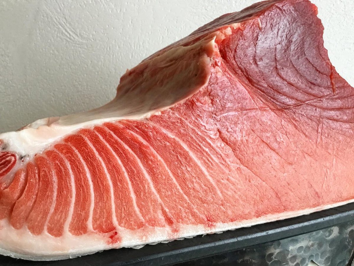 千葉県勝浦 150kg 本まぐろ こう見せて、 赤身がバツグンに旨いです