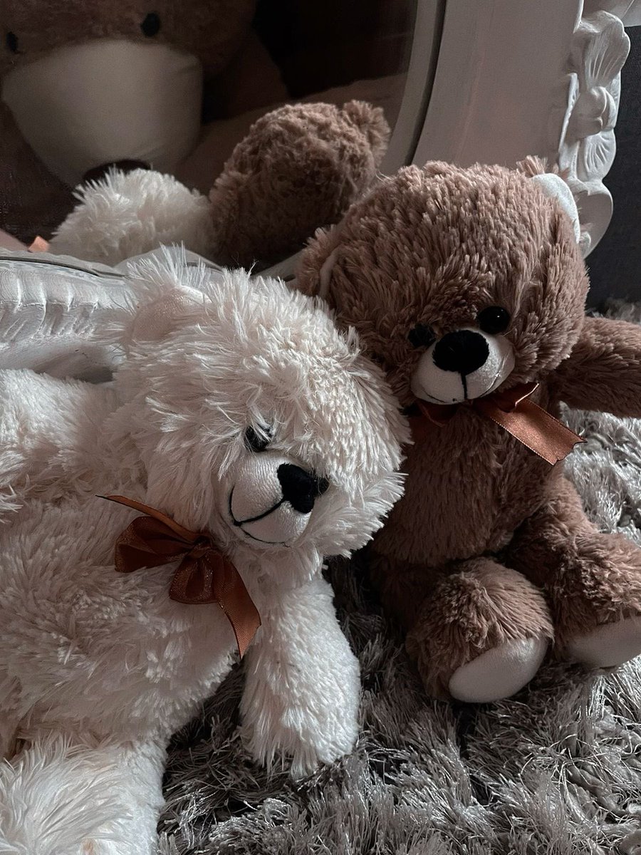 daily teddy bear daniel molloy tweet media