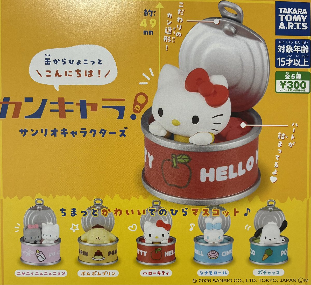 🔁2月26日(木)再入荷情報🔁 🎀カンキャラ！ サンリオキャラクターズ