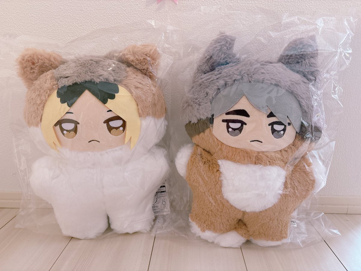 misanyan43's tweet photo. ちょいでかちみけもーー💖
うちにも来たよーーー🐱🦊✨
買うか迷ったけど勝って正解！！
程よく大きくてなんかずっしりしてて生き物っぽいリアルな感じがめっちゃ可愛い🩷笑 #ハイキュー #ちみけも #孤爪研磨 #宮治 https://t.co/sMzegwvwfj
