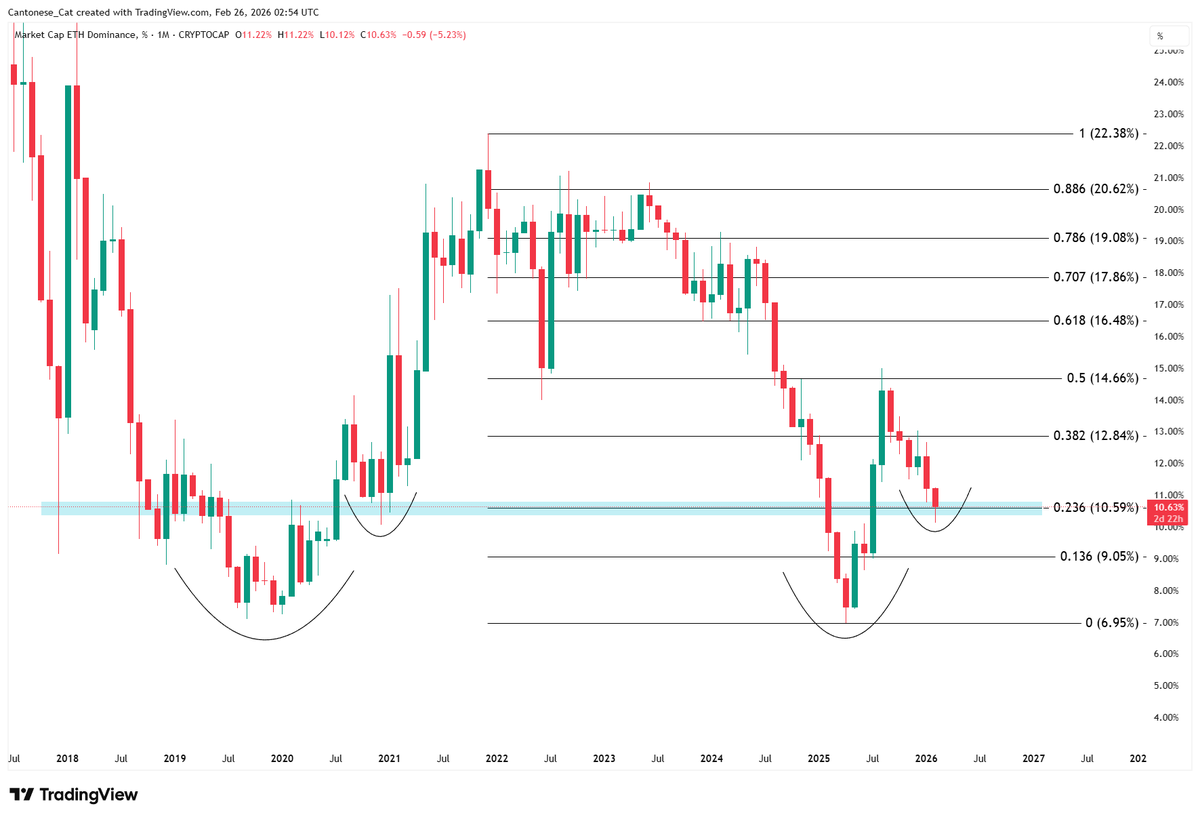 Cantonese Cat 🐱🐈 tweet media