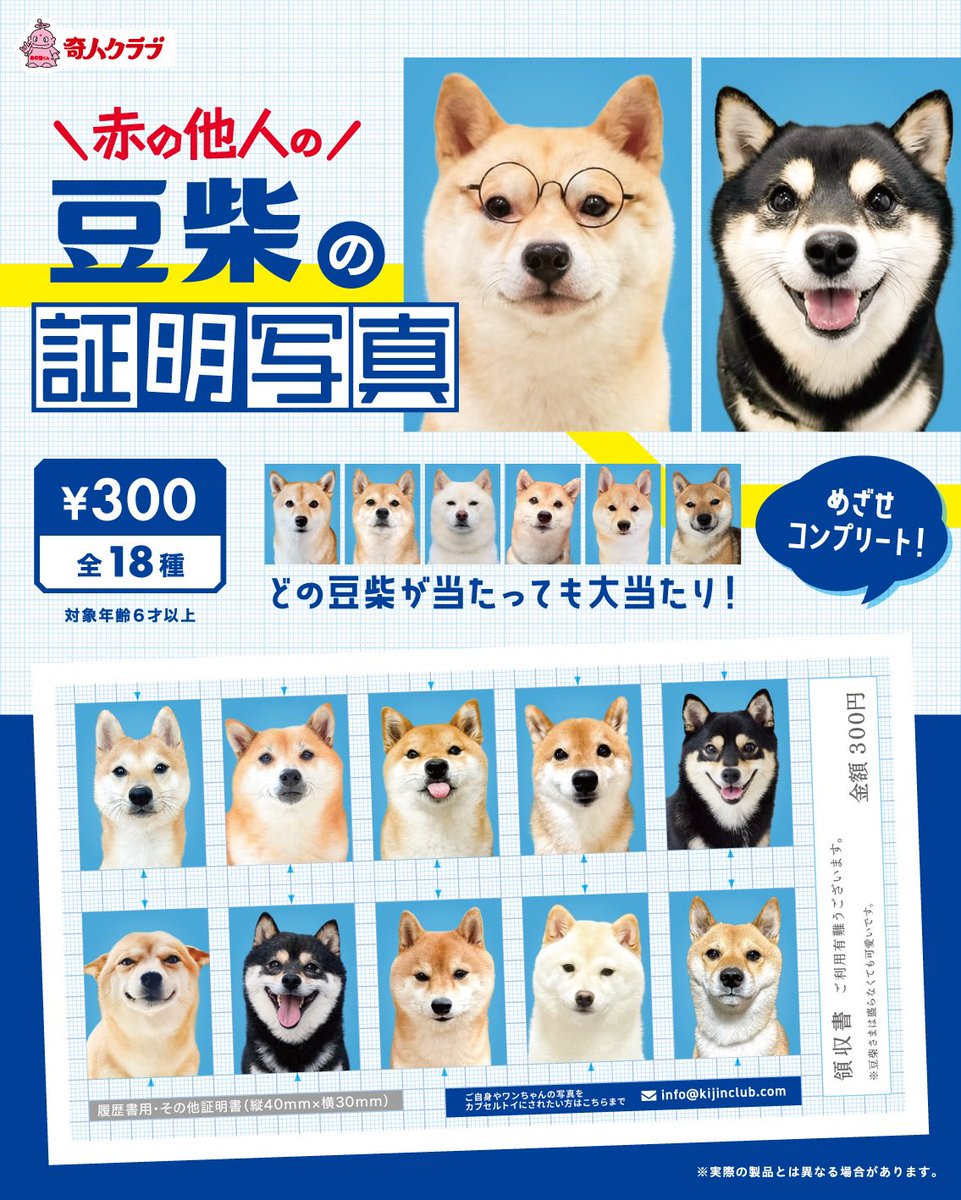 赤の他人の豆柴の証明写真にもにが参加します！もにさんグッズ化です