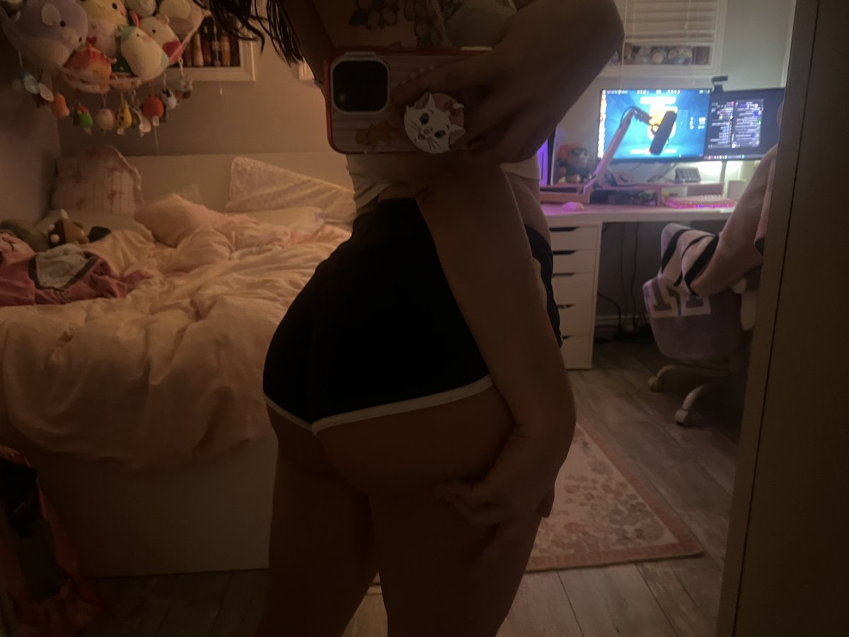 kittykatelin's tweet photo. can small butts get love too? https://t.co/i41wDjZrbp