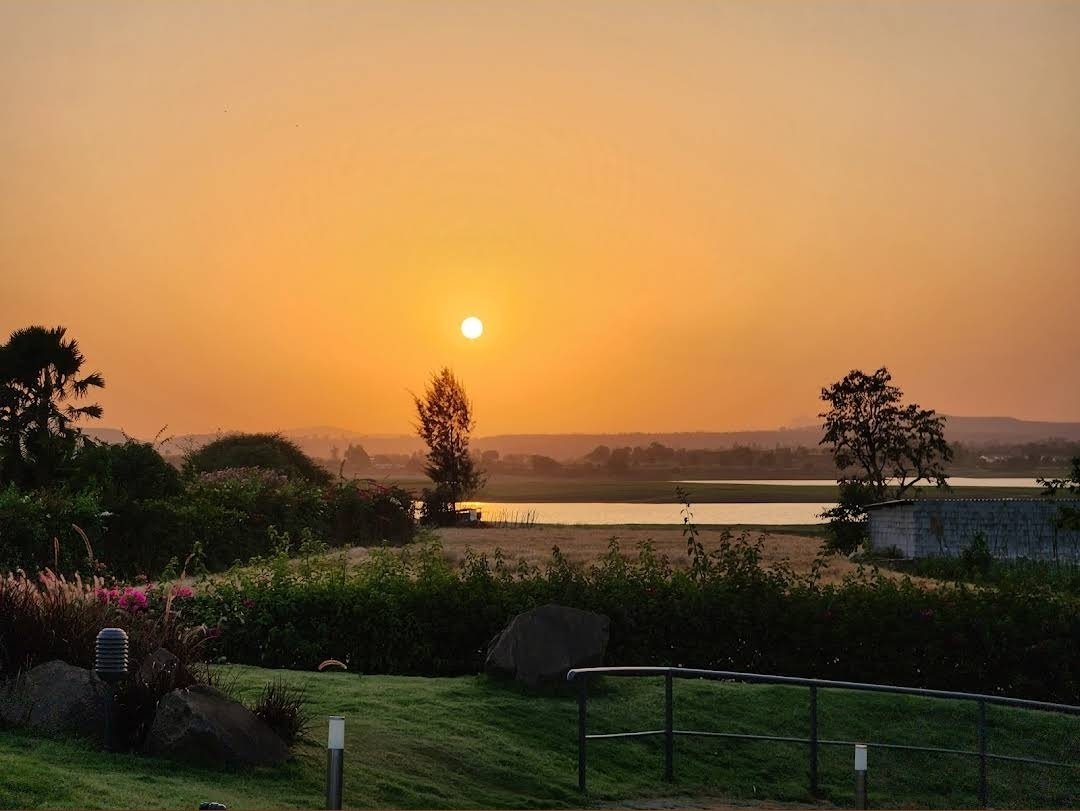 RushikeshH tweet media